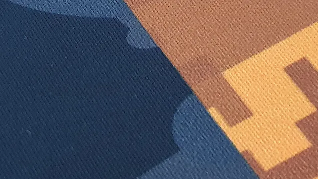 SRI Soccer Fabric Enlarged